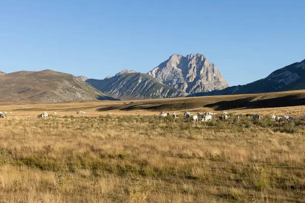 Büyükanne Sasso, Campo Imperatore 'dan gündoğumunda.