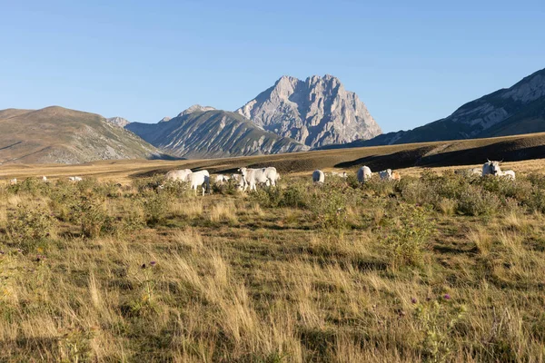 Büyükanne Sasso, Campo Imperatore 'dan gündoğumunda.