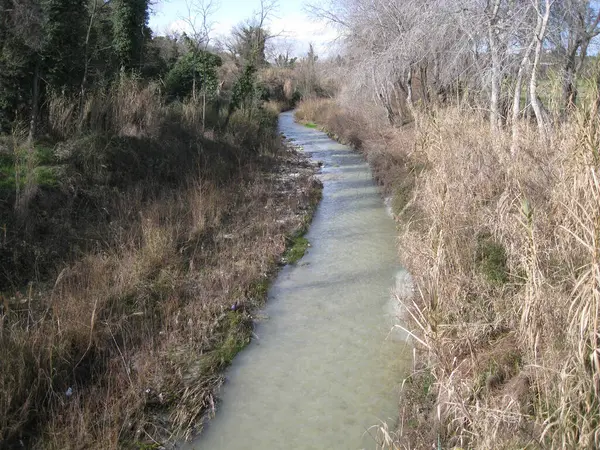 Abruzzo İtalya 'daki Salinello deresi.
