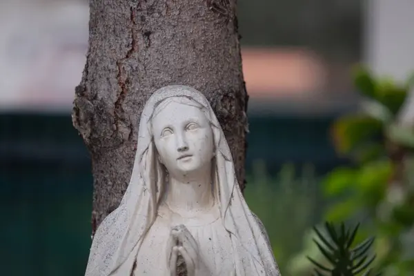 Arkasında ağaç olan bir Kutsal Meryem heykeli.