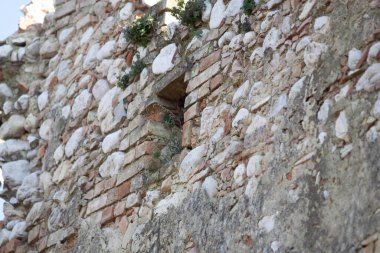 Kırsal hayat ayrıntıları