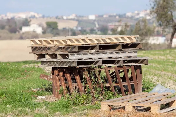 Kırsal hayat ayrıntıları