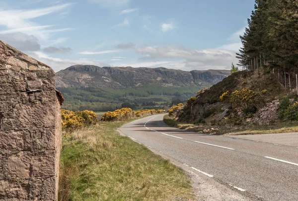 stock image Looking along a Scottish highway with gorse hedges in bloom and a brilliant blue sky