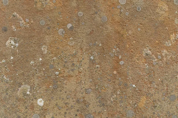 Lichen Coberto Fundo Pedra Laranja — Fotografia de Stock