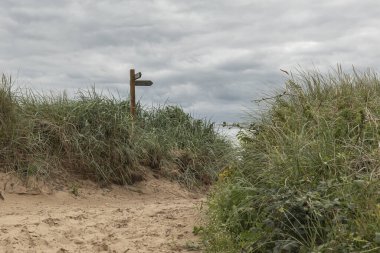 Sahildeki tahta tabela iki yöne bakıyor.