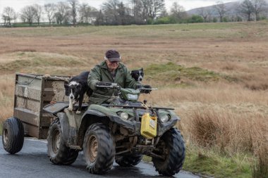 Keswick, Cumria, İngiltere - 22 Nisan 2023 - Koyun çiftçisi ve iki çoban köpeği bir karavanda bisiklet sürüyorlar