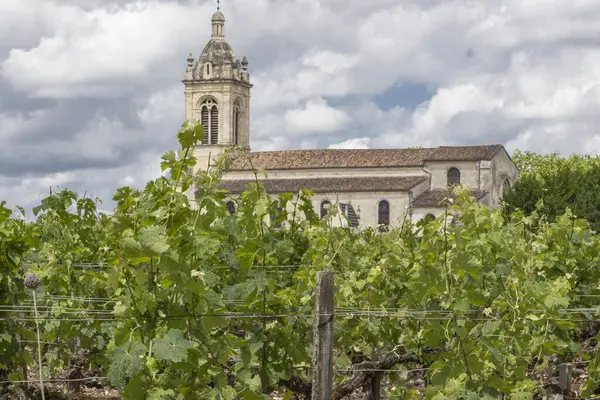 Medoc Bordeaux Francia Giugno 2019 Chiesa Situata Vigneto Francese Dietro — Foto Stock