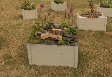 Tilki eldivenli, ağaç ve yosun parçalı çiçek sergisi.