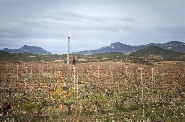 The view across a winter vineyard in the Rioja region with a windmill and vineyard heater ready for frost
