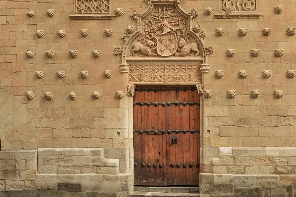 Salamanca, Castilla y Leon, İspanya - 9 Aralık 2023 Cassa Las Conchas Halk Kütüphanesi Salamanca İspanya