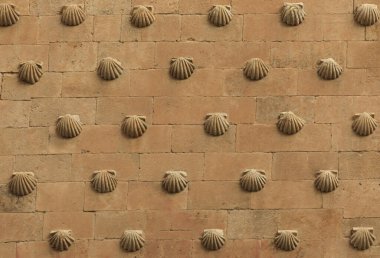 Belirli aralıklarla bir duvara bağlı deniz kabuğu kabukları arkaplanı