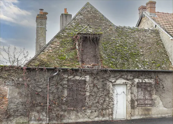 Sonbahar için yapraklarını kaybetmiş eski bir sarmaşıkla kaplı eski bir ev ön kapıda sürünüyor.