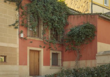 Pencerelerinde parmaklıklar olan turuncu boyalı İspanyol binası ve yeşil yapraklarla kaplanmış.