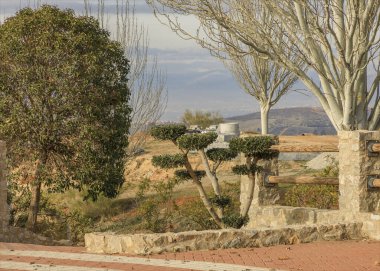 Bahçenin sınırında arka planda tepeler olan manikürlü çalılar.