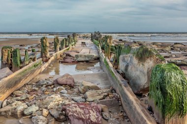 Kırık ve tahtadan Atlantik Denizi 'ne doğru yürüyoruz.