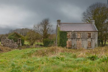 Terk edilmiş eski bir ev, aşırı büyümüş bir bahçesi ve duvarları sarmaşıklarla kaplı.