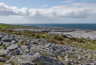 Atlas Okyanusu ve Aran Adaları 'ndaki Burren' in eşsiz kayalık manzarasına bakıyorum.