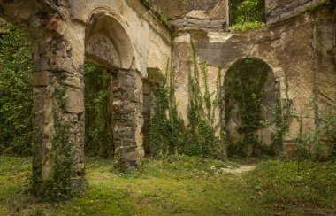 Doğa tarafından geri kazanılan eski bir binanın içi.
