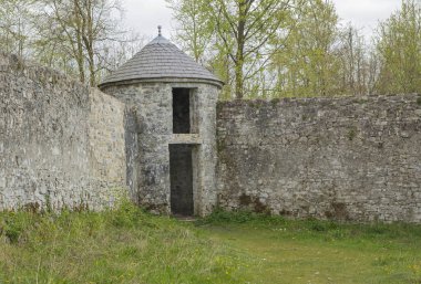 Duvarlarla çevrili bir bahçenin köşesinde kadim bir güvercin