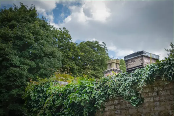 stock image Bee awarm catching bate box sat on the top of a wall in a walled garden