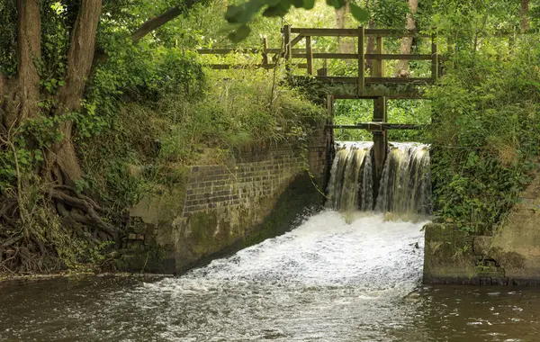 Lower Peover, Knutsford, Cheshire, İngiltere - 30 Temmuz 2024 - Peover Eye nehrine ahşap bir Weir 'ın kapılarından aşağı akan sular