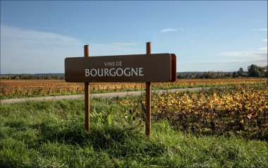 Chassange-Montrachet, Cote d 'Or, Burgundy, Fransa - 27 Ekim 2024 - Chassange-Montrachet köyünün dışındaki üzüm bağları