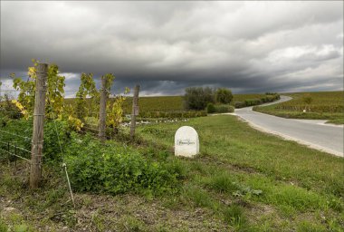 Cramant, Champagne, Fransa - 14 Ekim 2024 - Yol kenarı tabelasında Perrier Jouet 'in Cotes De Blanc bölgesindeki üzüm bağlarının sahibi olduğu belirtiliyor
