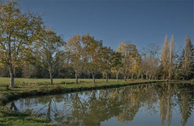 Saternay, Burgundy, Fransa - 29 Ekim 2024 - Ağaçların yeniden seçildiği göl ve piknik alanı