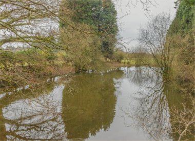 Kelsall, Cheshire, İngiltere - 21 Ocak 2025 - Kışın ağaçlarla kaplı küçük göl