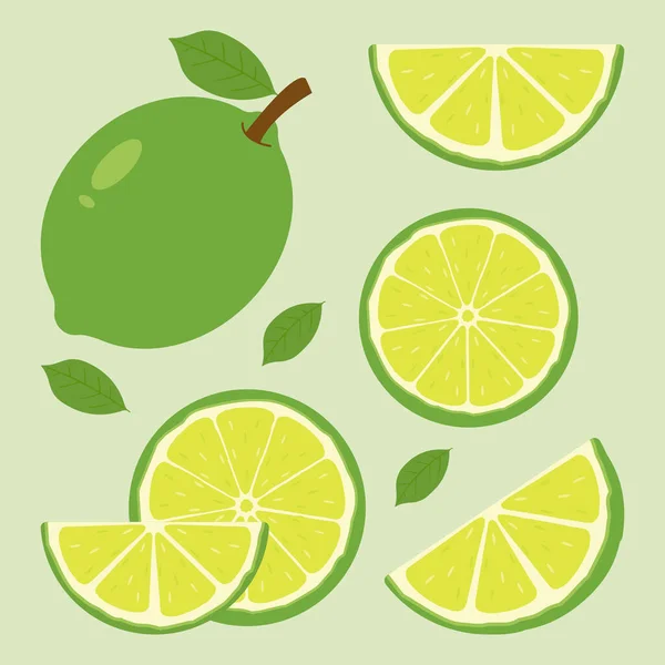 stock vector Vector set of different types of green lemon, Summer fruits for healthy lifestyle. Organic fruit. vector illustration