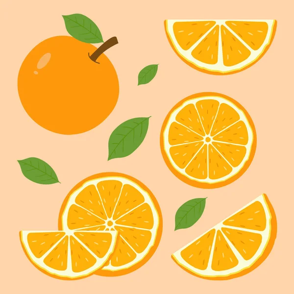 Διάνυσμα Σύνολο Διαφορετικών Τύπων Πορτοκαλιού Καλοκαιρινά Φρούτα Για Υγιεινό Τρόπο — Διανυσματικό Αρχείο