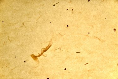 Geleneksel Kore kağıdı deseni