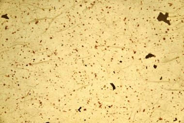 Geleneksel Kore kağıdı deseni