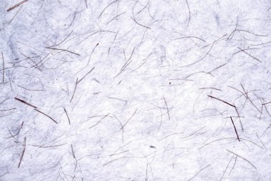 Ağaç kabuğundan soyut arkaplan.