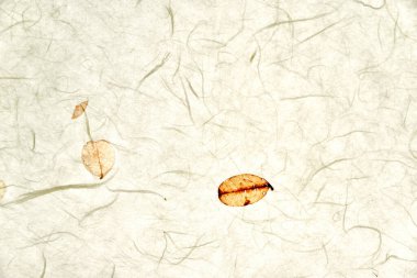 Grunge arka plan veya doku