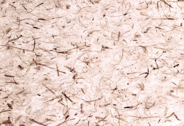 Kuru yaprak dokusu. tasarım için arkaplan.