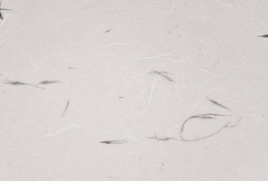 Gri kağıt dokusu arkaplanı.