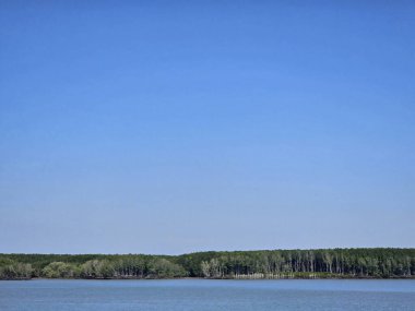 Arka planda ağaçlar olan bir nehir. Gökyüzü mavi ve berrak. Gökyüzünde hiç bulut yok.