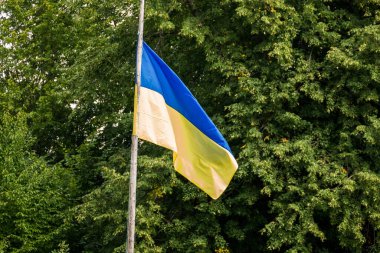 Bir turizm kampında Ukrayna bayrağı 