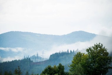 Sis içindeki dağlar, kozalaklı ormanlar.