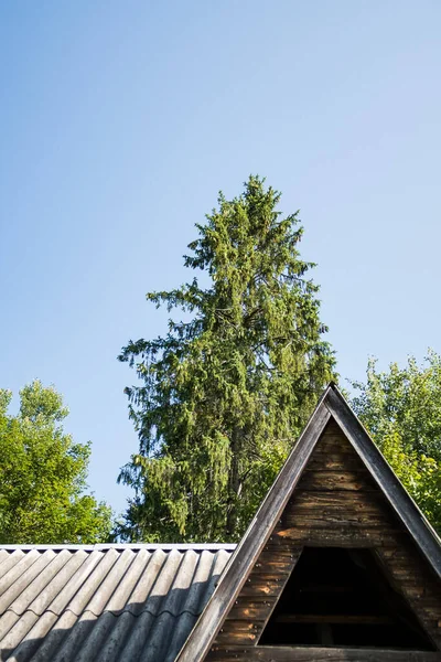 Крыша Бревенчатого Дома Лесу Туриста Лагерь Горах — стоковое фото