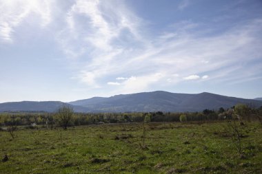 Çayır, çeşitli otlar, orman, dağlar, ağaçlar, bulutlar, rpanorama, yaz oyunları, kamp, gezinti, hafta sonu, yürüyüş.