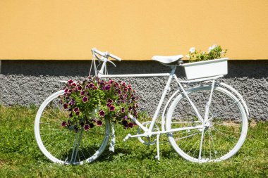 Süslü beyaz bisiklet, kırmızı petunyalar, beyaz kenarlı yapraklar, yeşil çimen, sarı duvar, çiçek, bitki, park, bahçe,