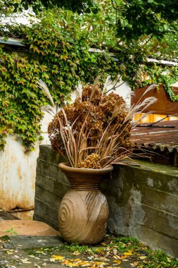 ekibana, yellowed grass, ears of corn in a ceramic jug on the background of a building, grape leaves, autumn, nature, rest, hike, scouts, excursion clipart