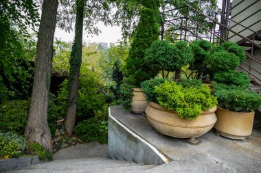 seramik ürünler, dekoratif bitkiler, merdivenler, sonbahar, sarı yapraklar, manzara, dekorasyon, gezi