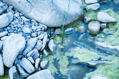 Taşlar, su, çakıl taşları, yeşillik, dağ, su, vahşi doğa, dere, yansıma, yosun, yosun, çimen, seyahat, gezinti, 