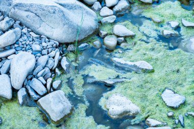 Taşlar, su, çakıl taşları, yeşillik, dağ, su, vahşi doğa, dere, yansıma, yosun, yosun, çimen, seyahat, gezinti, 