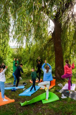 Çocuklar yoga, egzersiz, grup, antrenör, stüdyo, master sınıfı, bahçe, ağacın altı, hareketler, ders, sonbahar, yaratıcılık, kare, kadın, insan, 