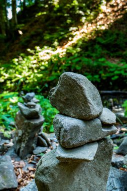 Ormandaki dekoratif taş piramitleri, yerleşim, çalılar, tasarım, gezi, çalılıklar, sonbahar, yeşil yapraklar, manzara, yürüyüş