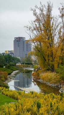 Modern yüksek binalar, güzel, kıyılar, nehir, göl, su, ağaçlar, sarı-kırmızı, yapraklar, renkler, bulutlar, sonbahar, modern mimari,